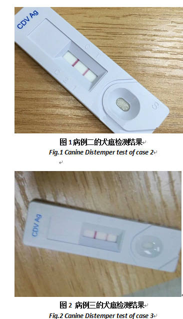 三例犬瘟熱的診治報(bào)告