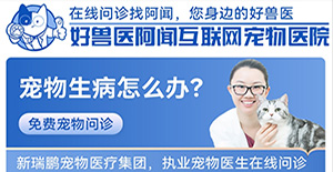 聯(lián)動愛寵狂歡節(jié)！好獸醫(yī)阿聞互聯(lián)網(wǎng)寵物醫(yī)院9月限時免費問診