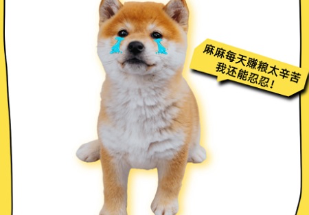狗狗拉稀吃什么藥最好？
