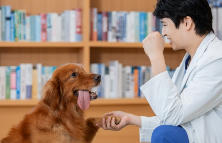 狗拉肚子怎么回事？
