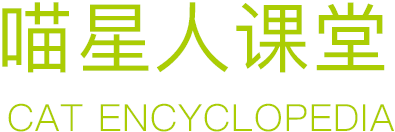 喵星人
