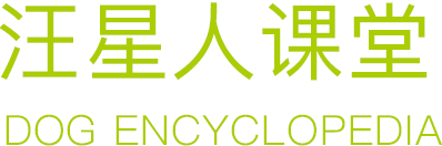 汪星人